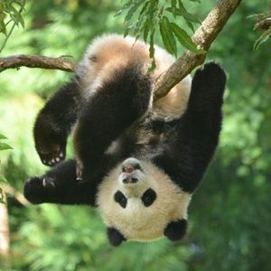 Meet your Posher, April